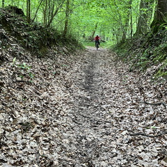 22-05-02 15-40-17 0737